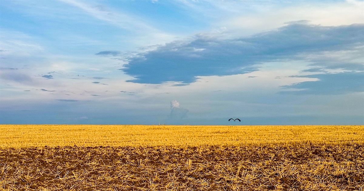 Світлиною молодого фотохудожника з Чортківщини поділилася в Instagram геніальна Ліна Костенко