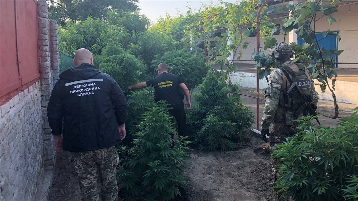 В Измаильском районе пограничники обнаружили наркотики стоимостью полмиллиона долларов (видео)