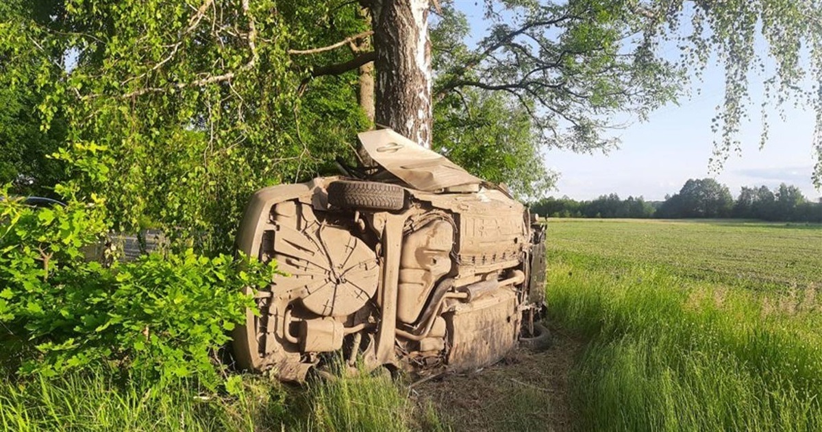 У ДТП на Звягельщині загинули двоє людей — автівка врізалася в дерево