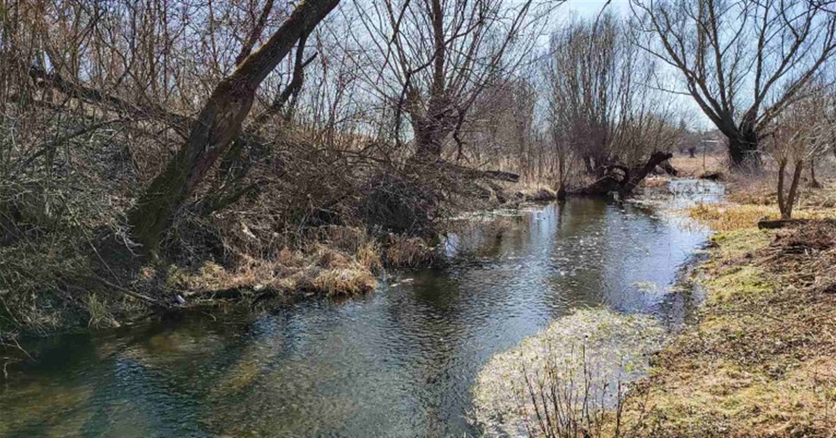 Благовіститься на весну і мир – у ріднім краї, на Чортківщині