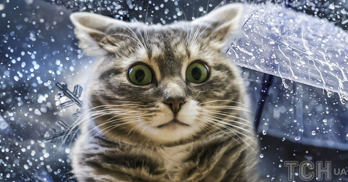 Сніг, дощ та "плюси": яку погоду прогнозують синоптики в другій половині тижня