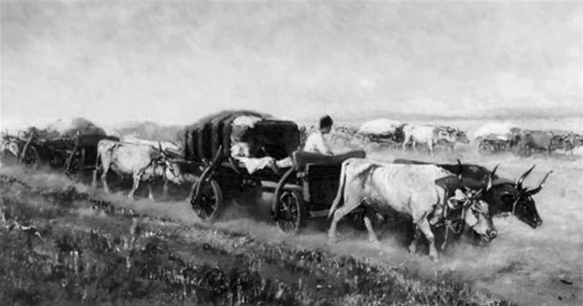 Чумацький шлях: сіль, степ і Старокостянтинів – столиця торгових караванів