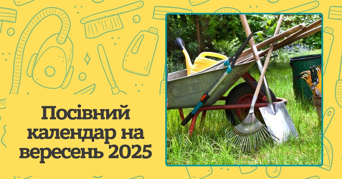 Місячний посівний календар на вересень 2025: коли працювати в саду і на городі