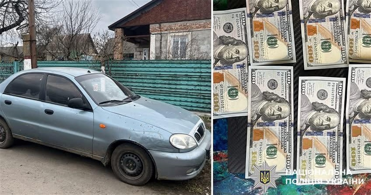 Викрала долари і купила авто: на Старокостянтинівщині оголосили підозру 28-річній жінці