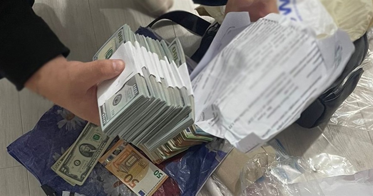 У лікарки на Житомирщині в ході обшуків поліція вилучила понад 4,4 мільйона гривень