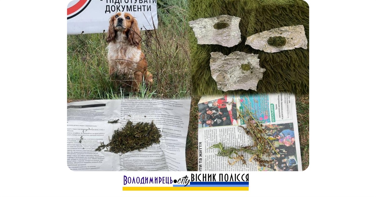 "Дора" знайшла цікаву знахідку в одному з приватних домоволодінь у Вараському районі