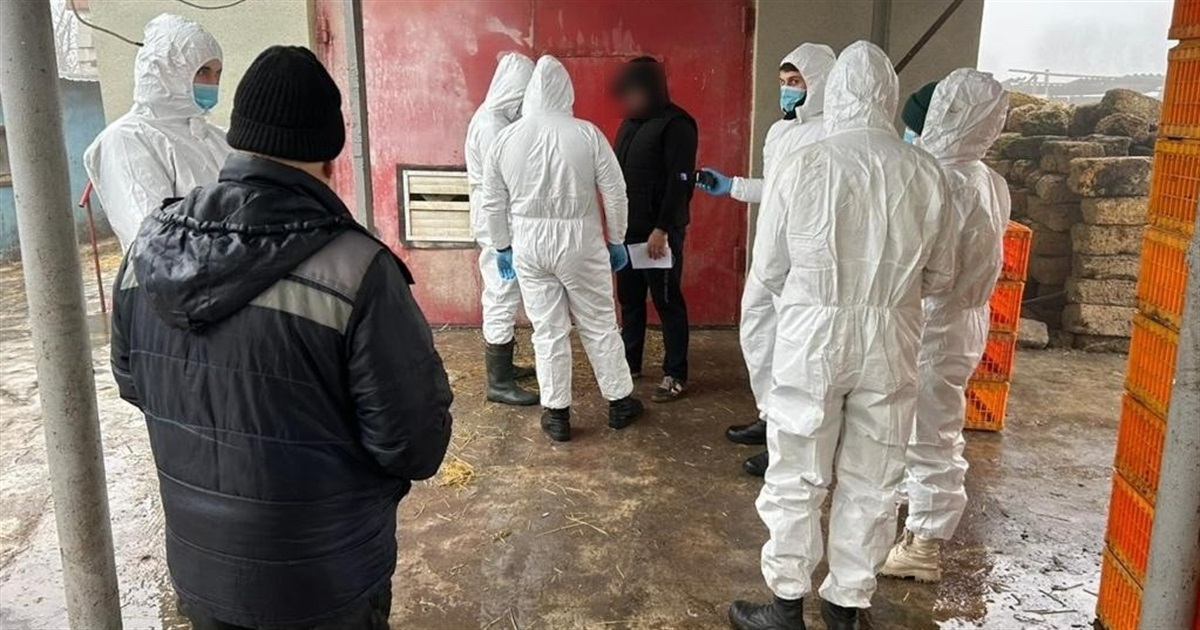 Поліція повідомила про підозру зоотехніку, який відповідатиме за масове поширення пташиного грипу