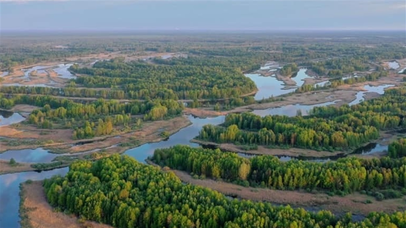 Чотири ідеї для короткої, але цікавої подорожі Чернігівщиною на вихідних