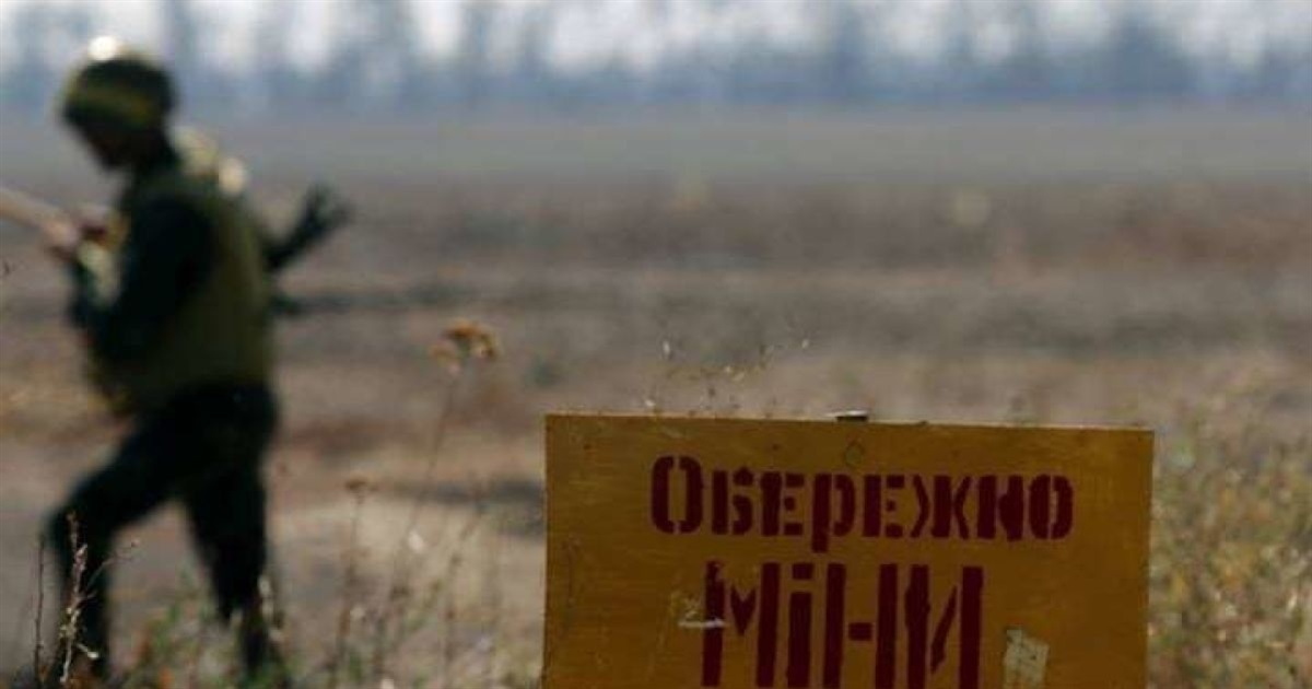 Новини Київщини: чоловік підірвався на російській міні, гуляючи у лісосмузі