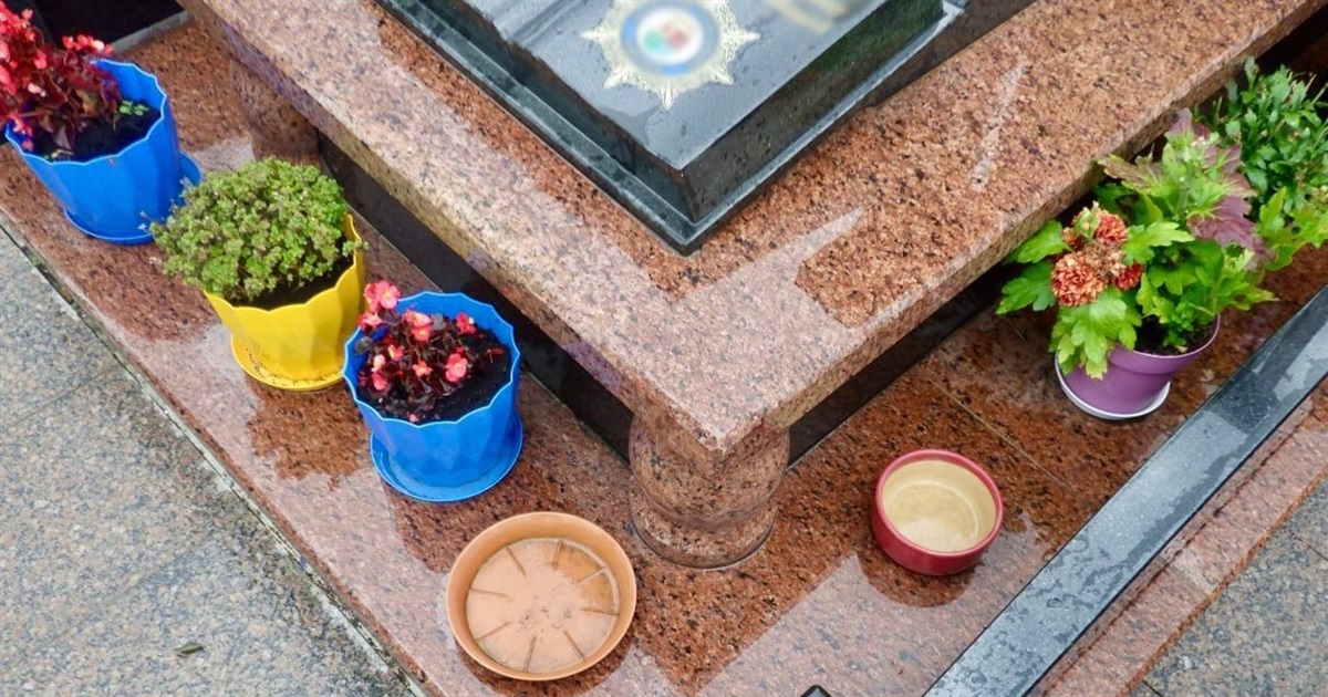 Судитимуть жінку, яка викрадала квіти, вазони та інші пам’ятні речі з місць поховань захисників