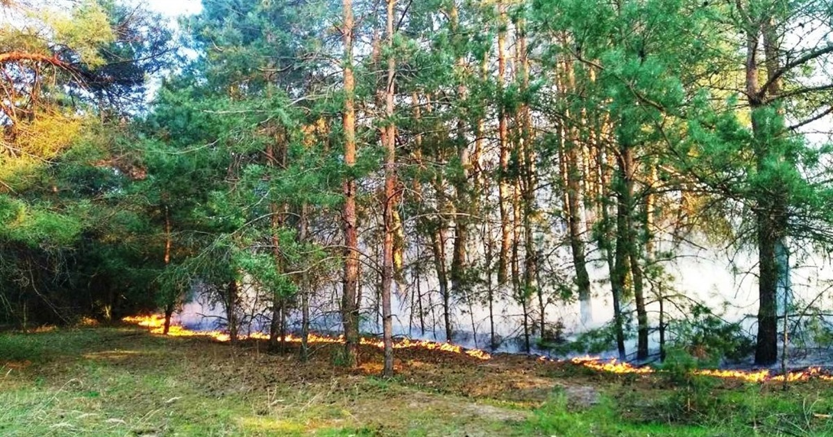 На Київщині надзвичайно високий рівень пожежної небезпеки, а на Бориспільщині досі підтоплення