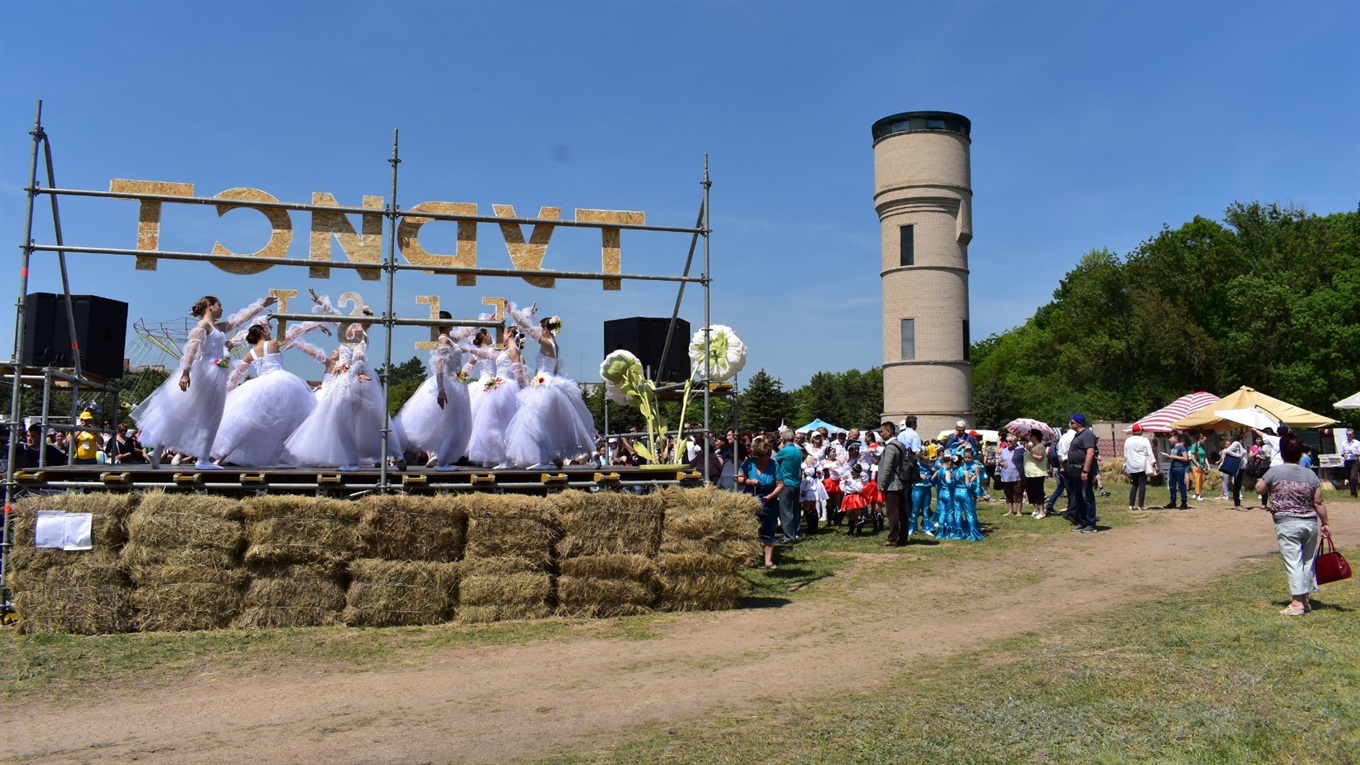На Турист Fest сірогозці подивилися перформанс, побували в дендропарку, зоопарку і на дегустації