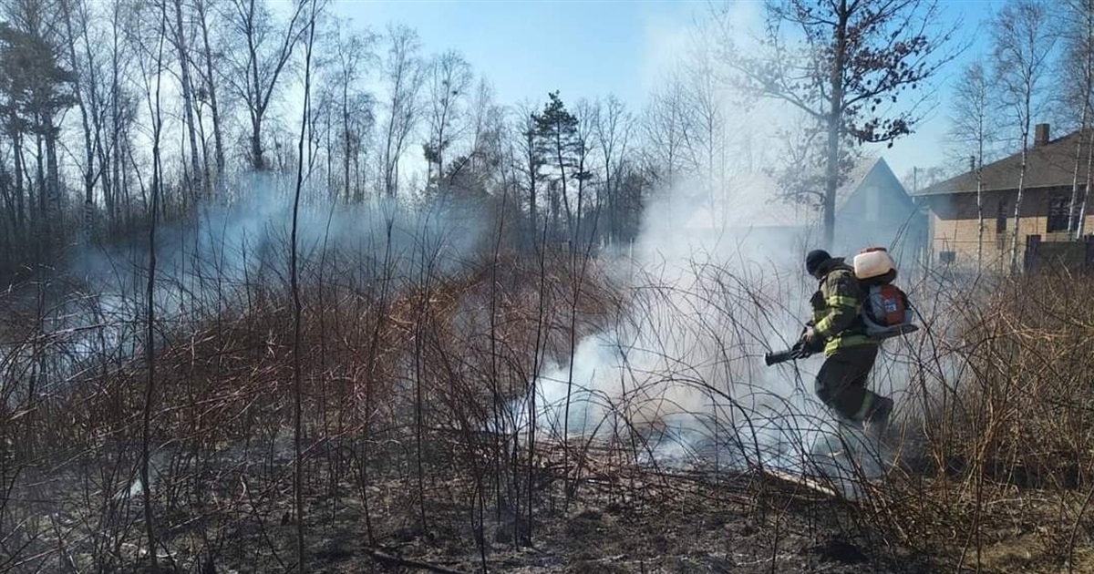У Сарнах палять сухостій попри заборону: голова обіцяє премію за кожного спійманого палія