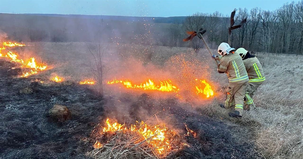 За тиждень у Жмеринському районі сталась 51 пожежа через паління трави: пожежники б’ють на сполох