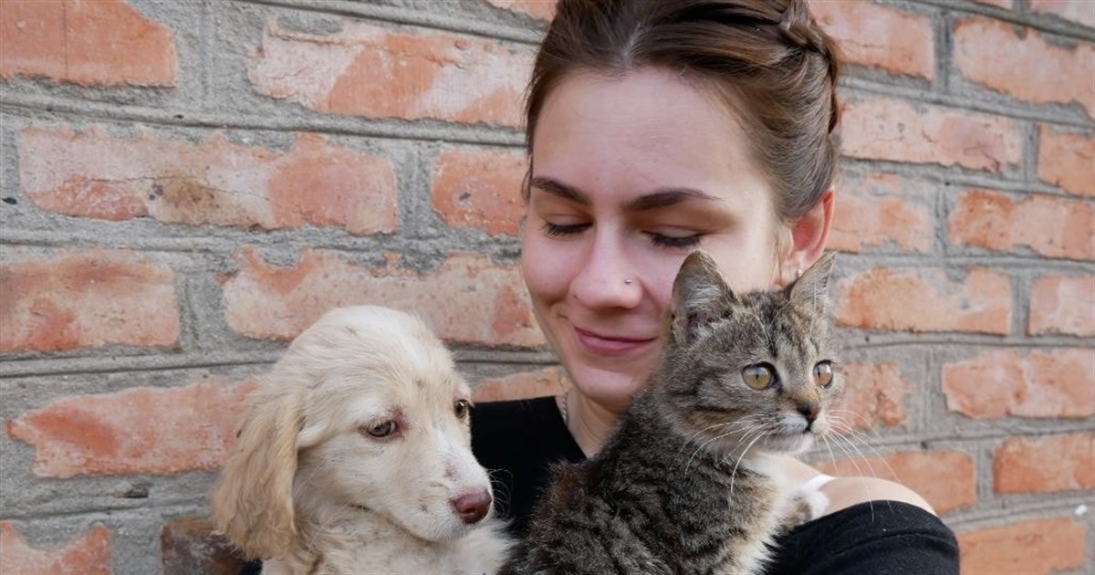 Зоозахисниця Богдана Стоян опікується 37 котами з Донеччини. Вона купила для хвостиків будинок