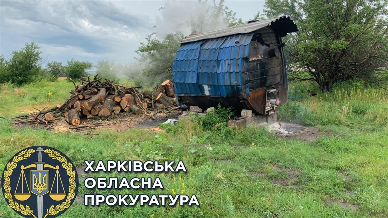На Лозівщині викрили нелегальний бізнес з виготовлення деревного вугілля