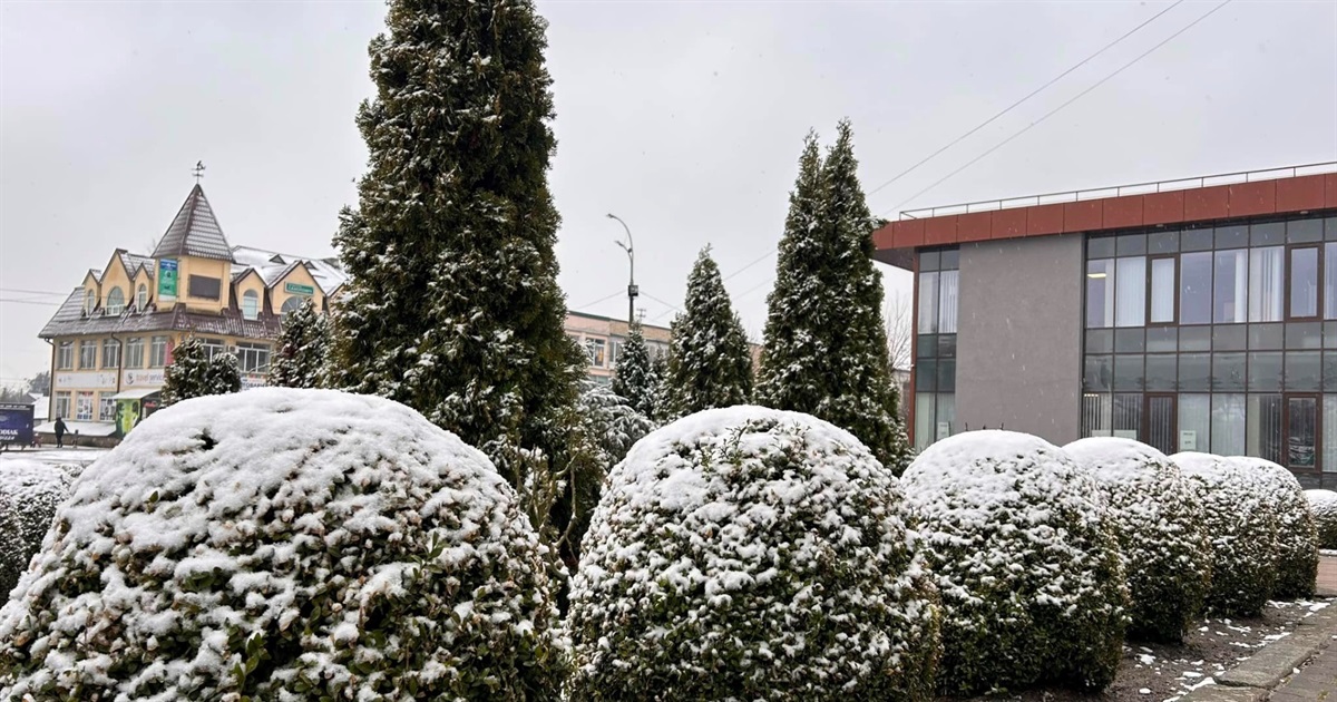 У Звягелі відбудеться виконком: 14 питань – від музею Лесі Українки до вивезення сміття