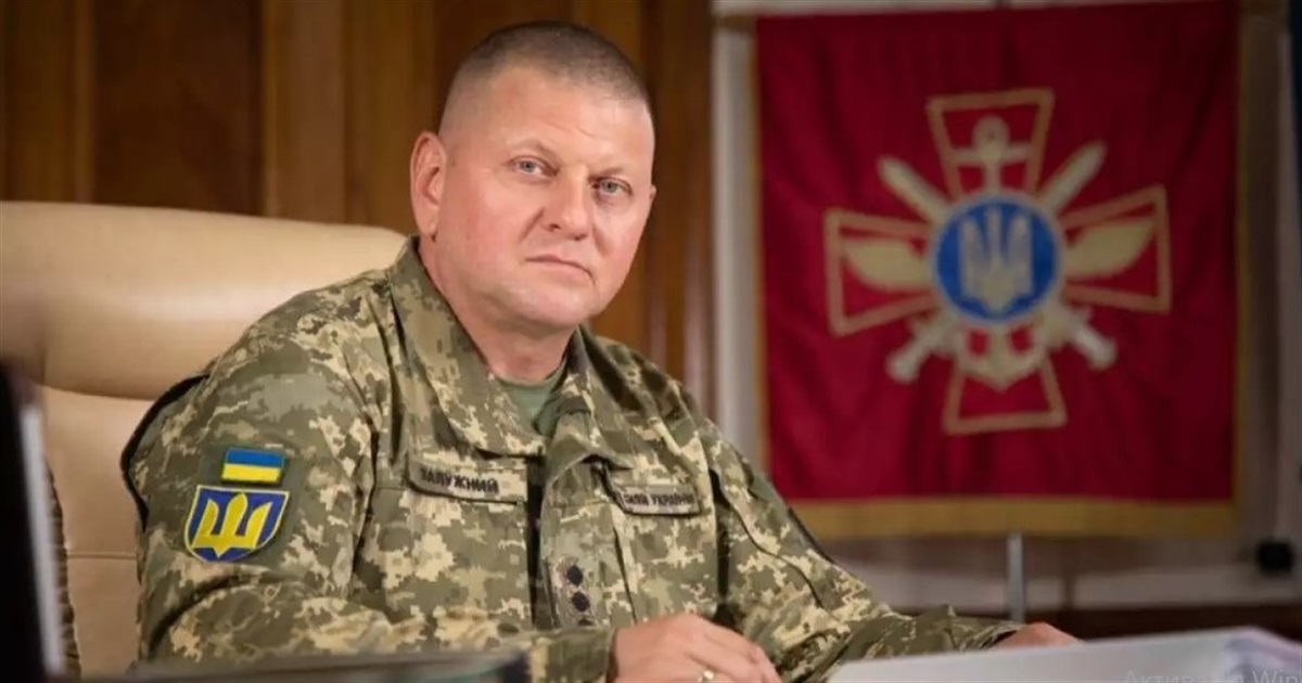 Найочікуваніша книжка року: виходить перша біографія Валерія Залужного