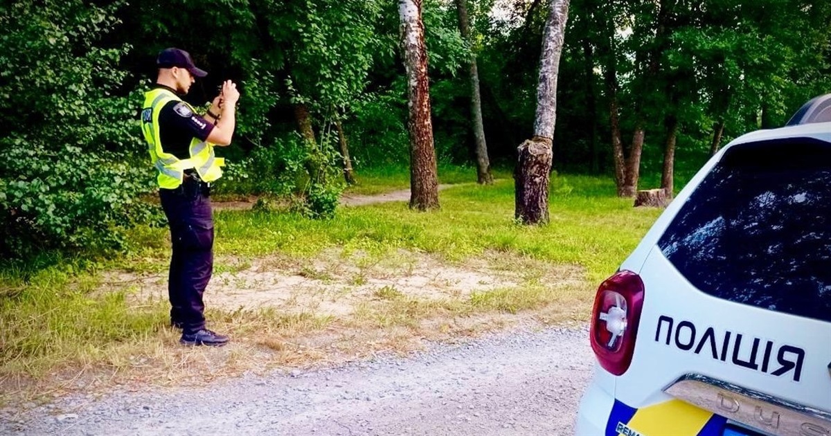 У Звягелі чоловік напав з ножем на перехожу, поранив та відібрав рюкзак – його затримали в столиці