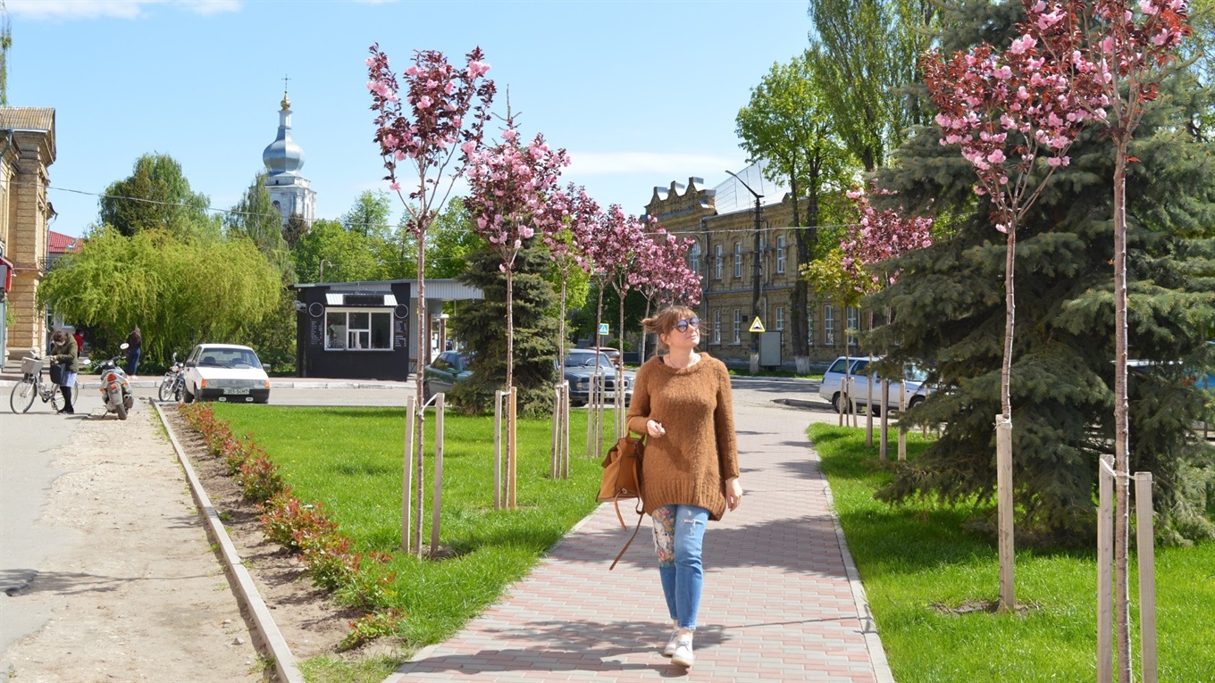 У Переяславі цвітуть сакури. Містяни залюбки фотографуються