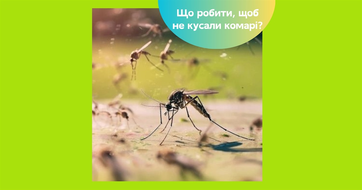 Як захиститися від комарів — перевірені способи для дому та відпочинку