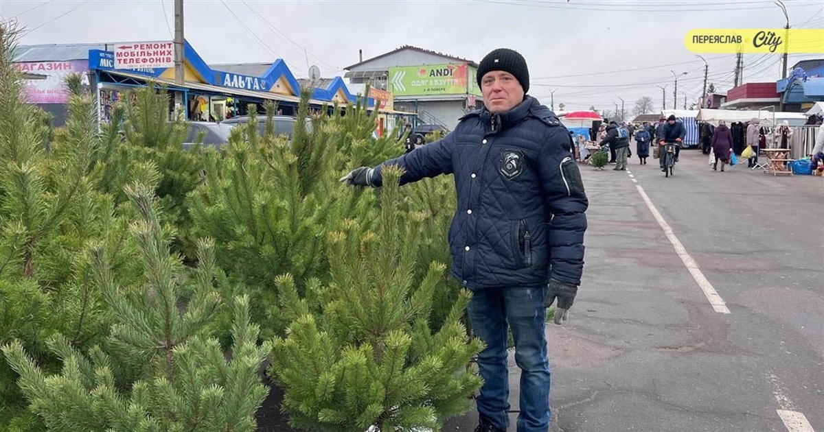 На базарі в Переяславі продають новорічні сосни від 100 гривень і смереки від 150