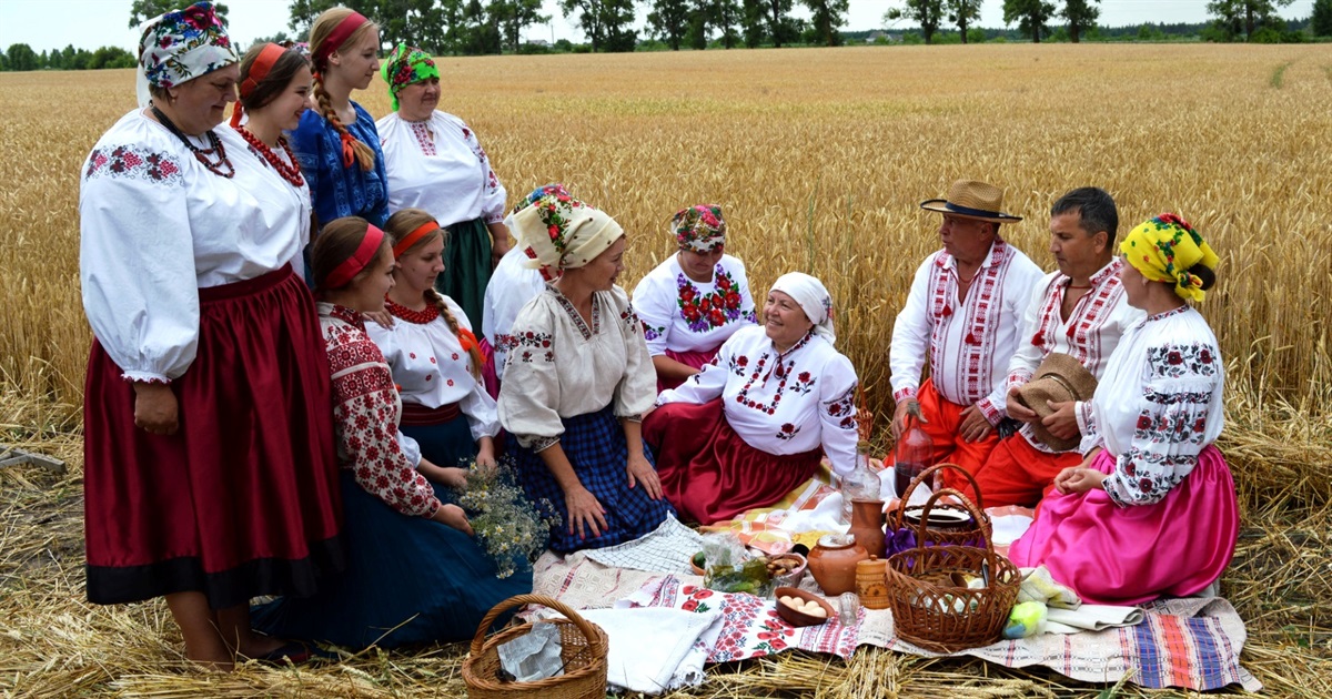 Хлібна нива дочекалася: на Переяславщині відтворили «зажинки» і почали збір нового урожаю