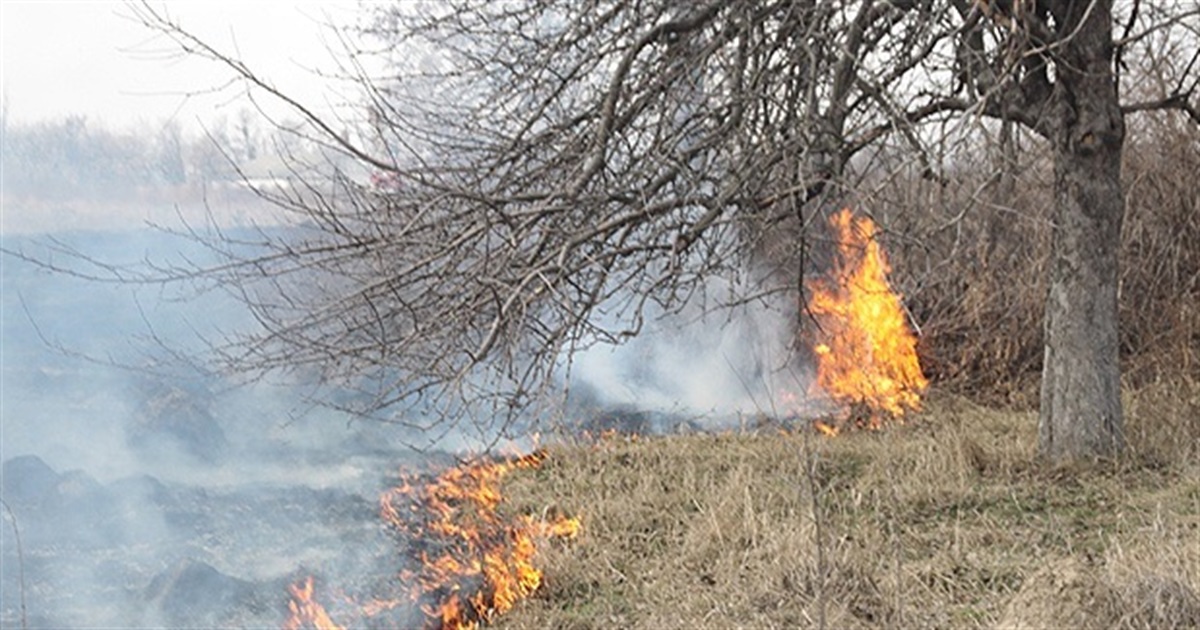 Рятувальники виявили обгоріле тіло жінки, яка самостійно намагалася загасити траву