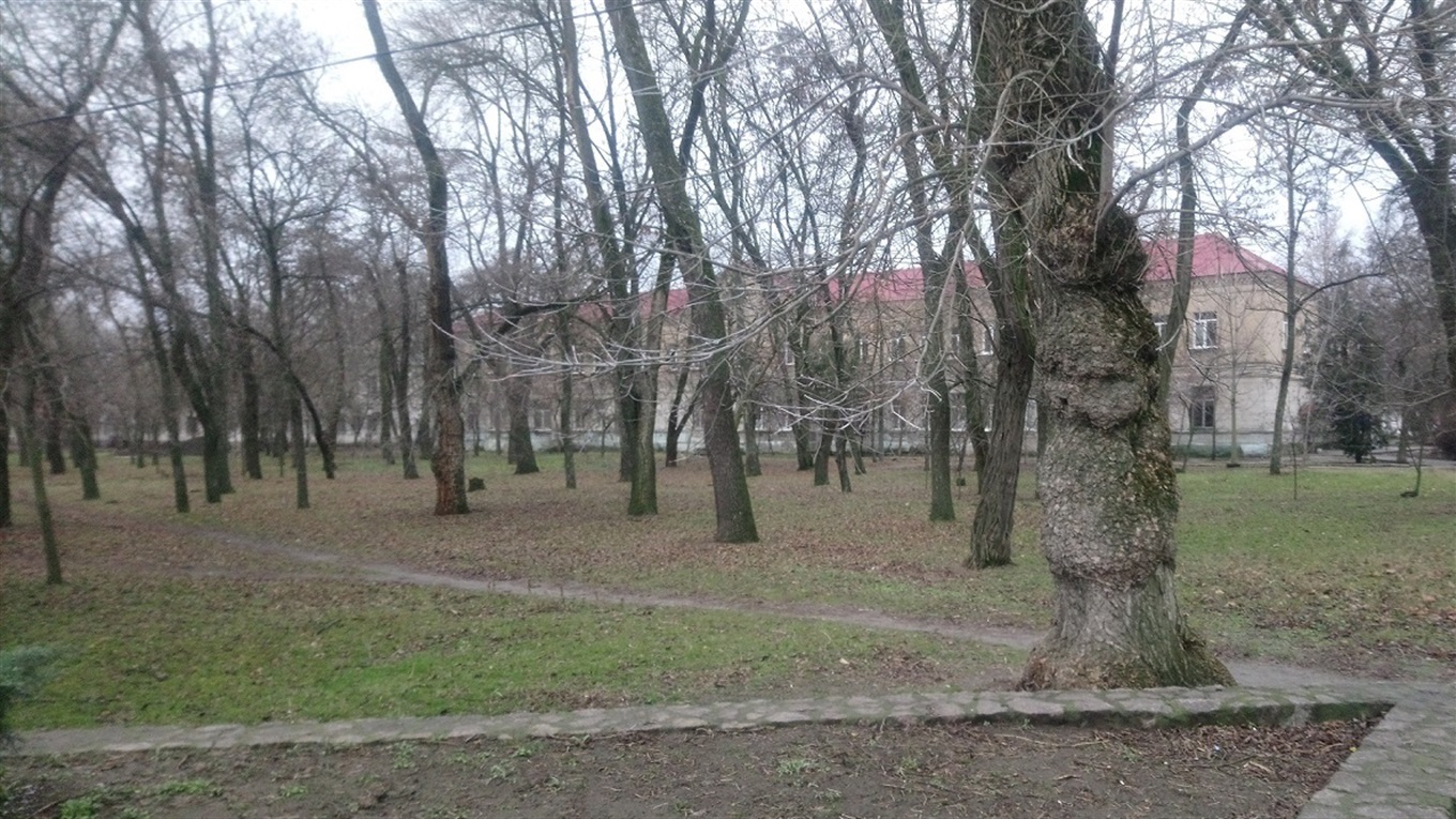 Кто и почему превращает ледовую арену в секретный объект? 