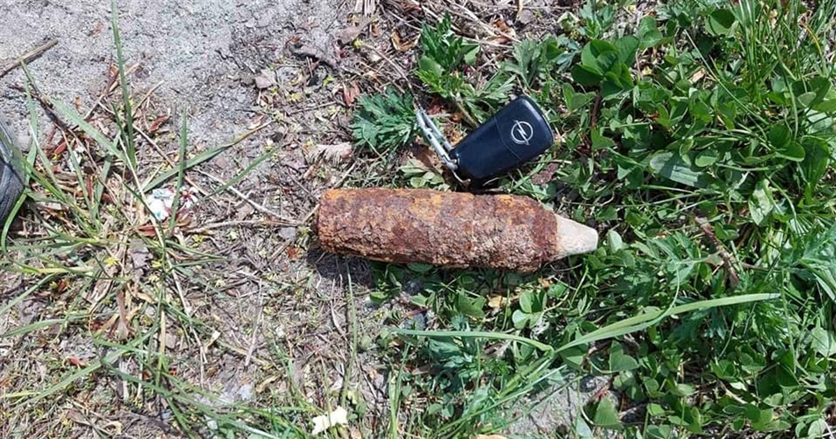 У Новоград-Волинському районі знайшли чотири боєприпаси: піротехніки ДСНС їх знешкодили