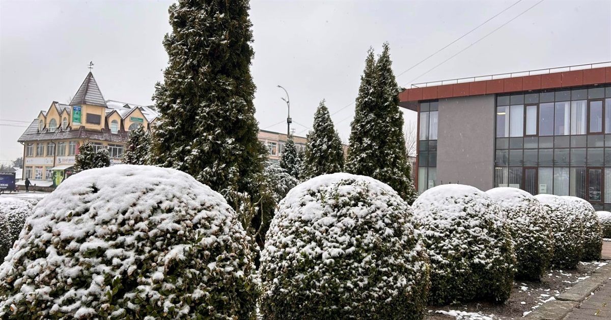 Відбудеться засідання звягельського виконкому: який порядок денний