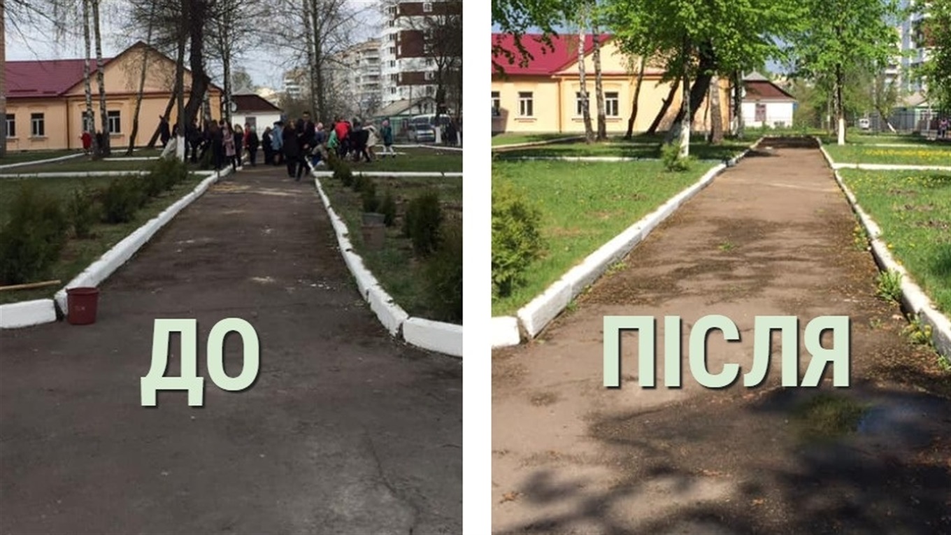 У ліцеї №4 вкрали 40 туй