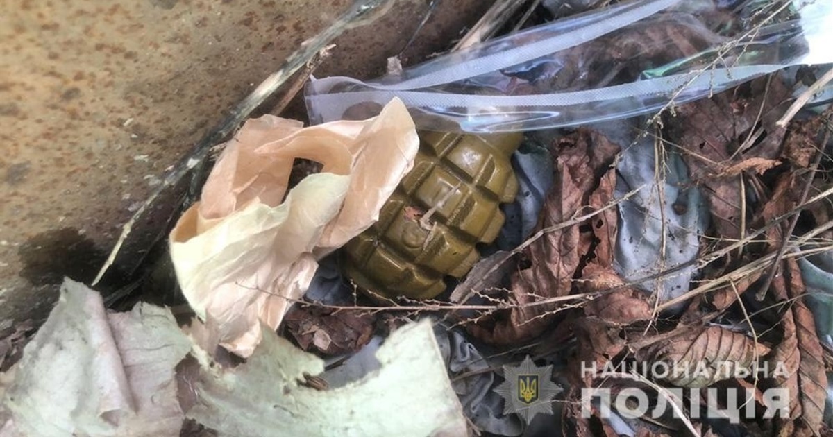 Однорічна дівчинка травмувалася через гранату: на Житомирщині продовжують знаходити боєприпаси