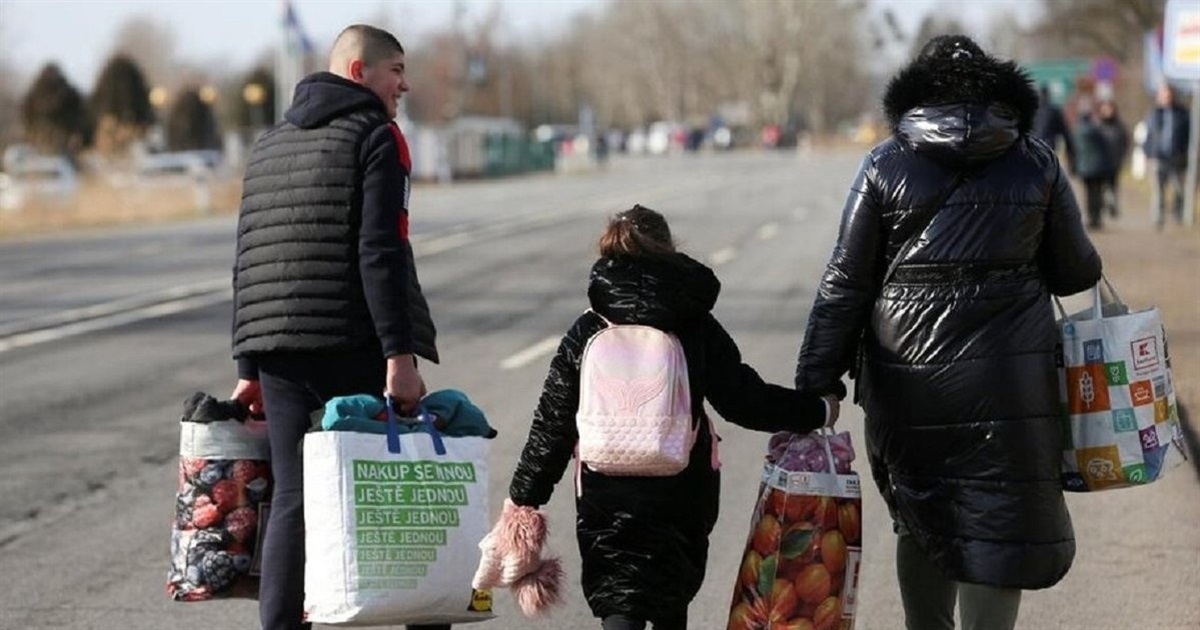 Державні виплати під час війни: хто та як може їх отримати