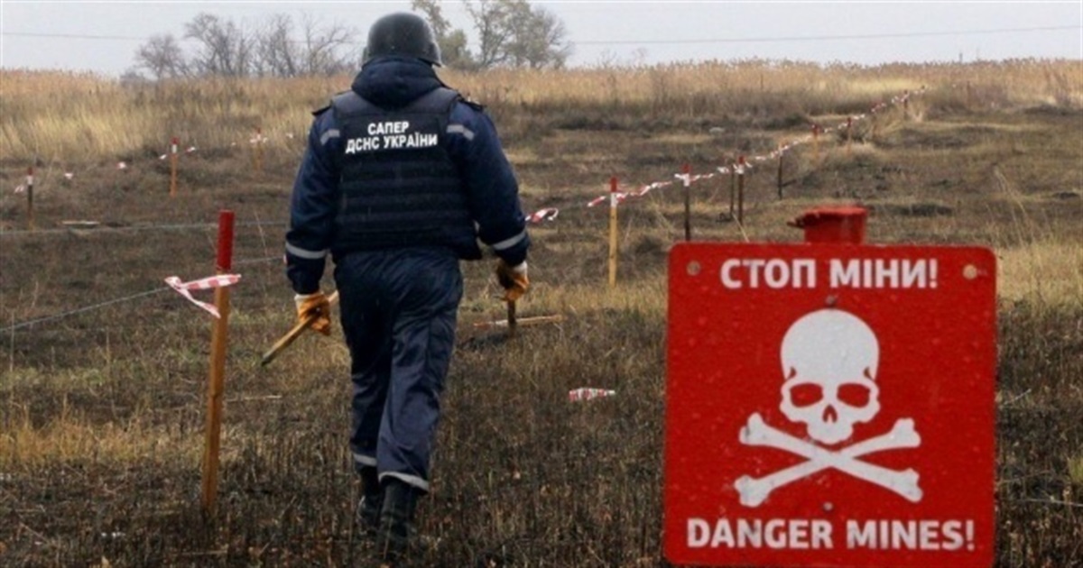Розмінування лісів на Київщині займе близько року, основні дороги сапери вже перевірили
