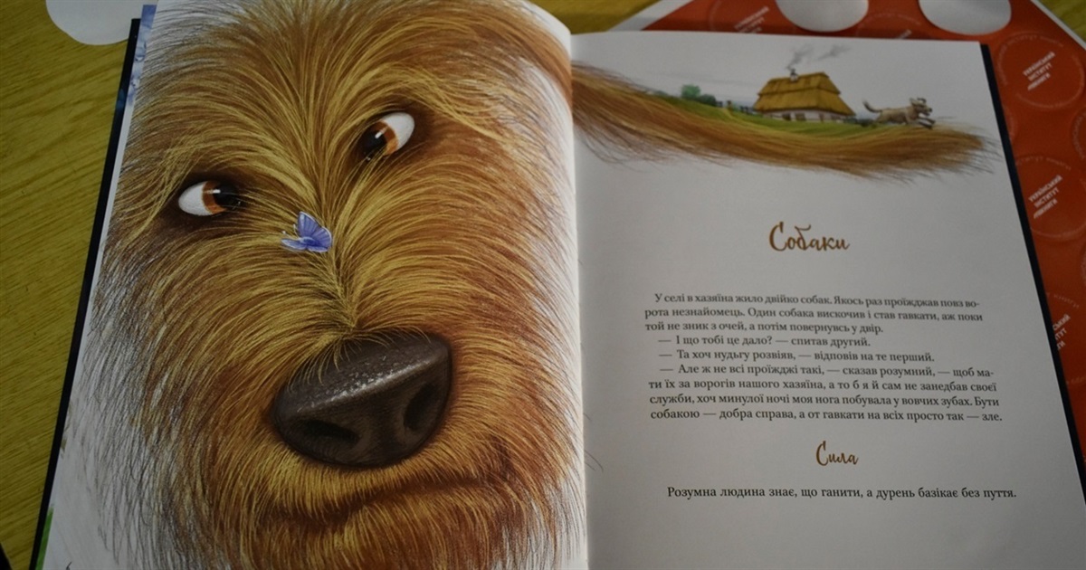 Жмеринська бібліотека поповнила свій фонд на 684 нові книги: запрошує жмеринчан і гостей міста