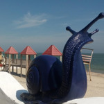 Великі кольорові равлики