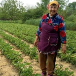 Неофіційна полунична столиця  - село Ліски
