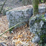 Ставка Герінга «Штайнбрух»