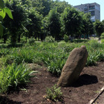 Находки на курганах