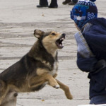  Викидали цуценят та кошенят 