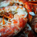 Свіжоморожена риба і морепродукти