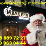 Мичурин