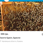 Бджоли