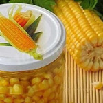 Кукурудза “Бондюель” на зиму