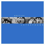 LATEXFAUNA — “Arktika”