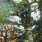 Green Planet