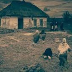 Червоне намисто (2016)