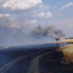Збір урожаю на Херсонщині під дроновими атаками росіян