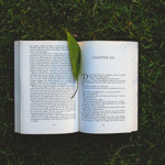 Annika Book Blog
